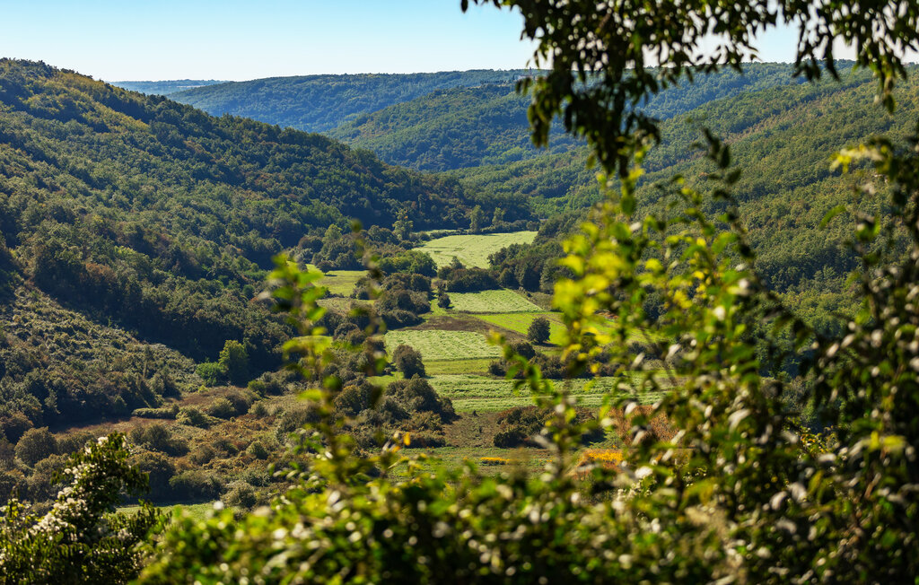 Green rolling hills of the Lim fjord valley